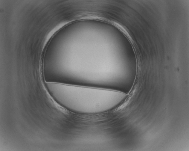 X0000070191149200605260958