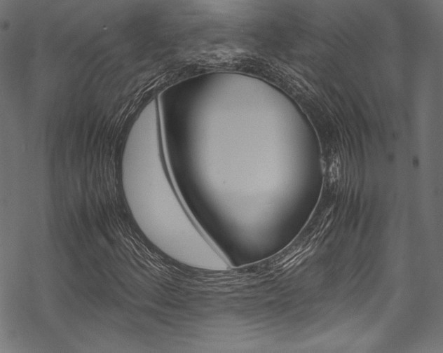 X0000070191156200605260957