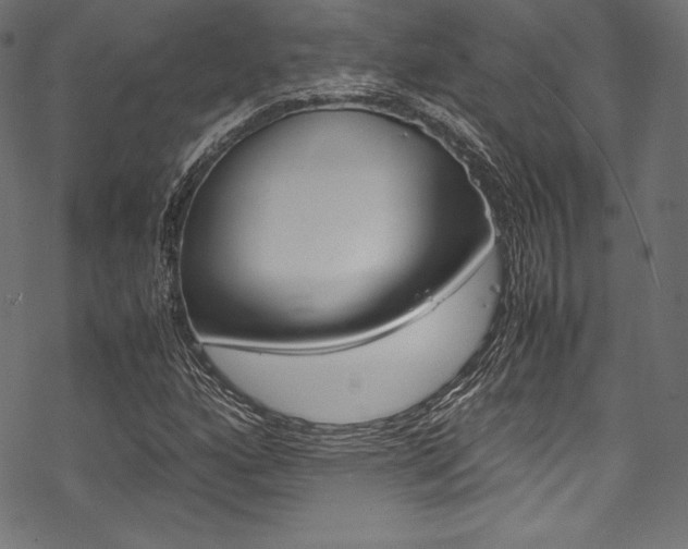 X0000070191160200605260957