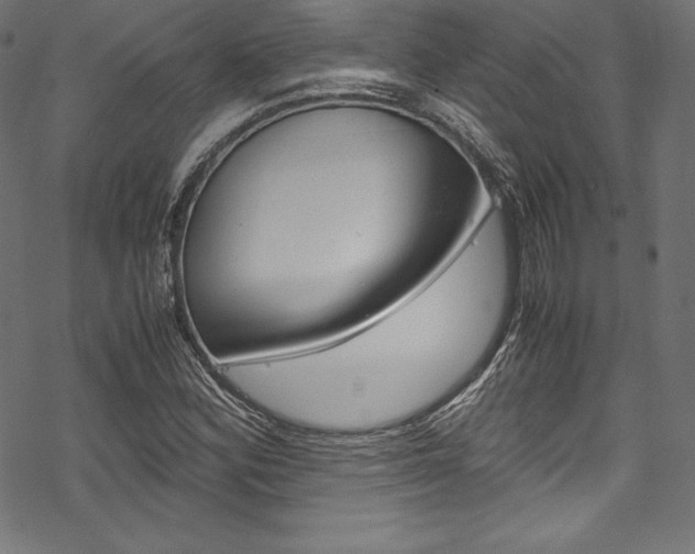 X0000070191164200605260957