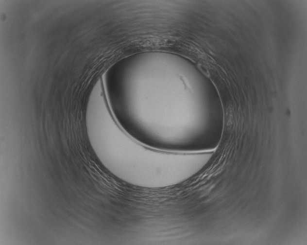 X0000070191202200605260956