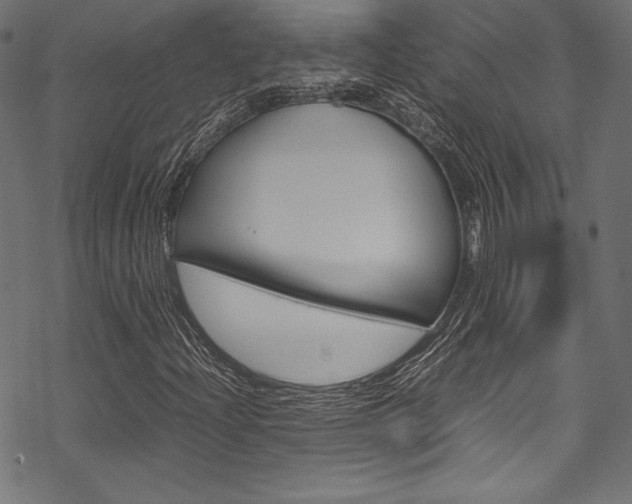 X0000070191204200605260956