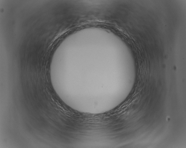 X0000070191206200605260956