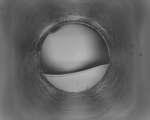 X0000070191208200605260956