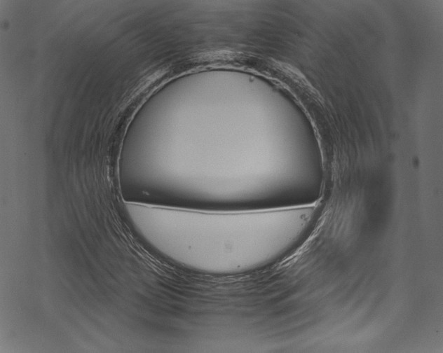 X0000070191209200605260956
