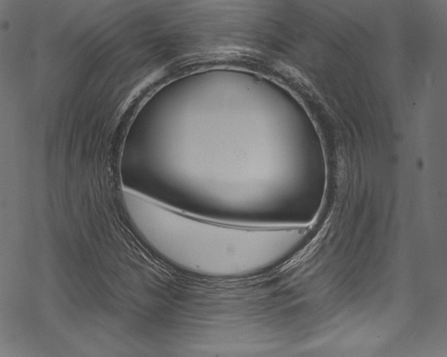 X0000070191210200605260956