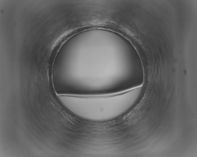 X0000070191214200605260956