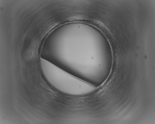 X0000070191217200605260956