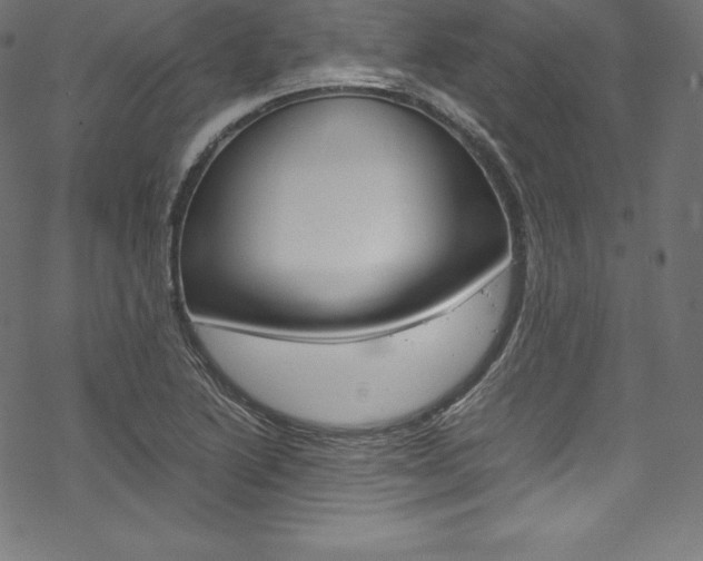 X0000070191222200605260956
