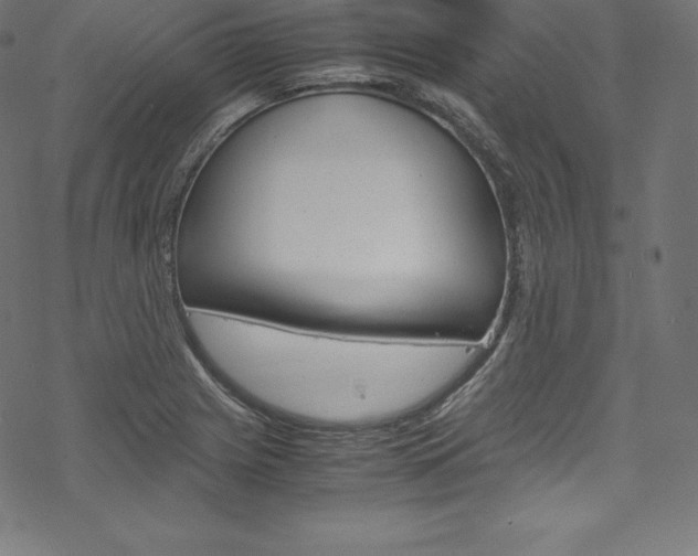 X0000070191225200605260956