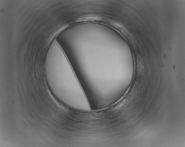 X0000070191233200605260956