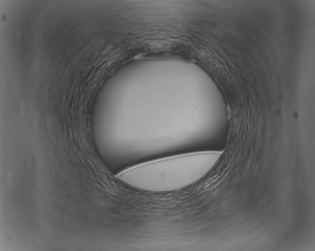 X0000070191249200605260956
