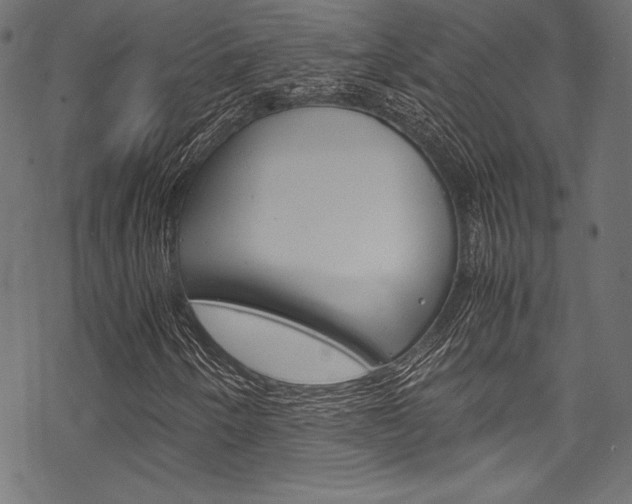 X0000070191250200605260956