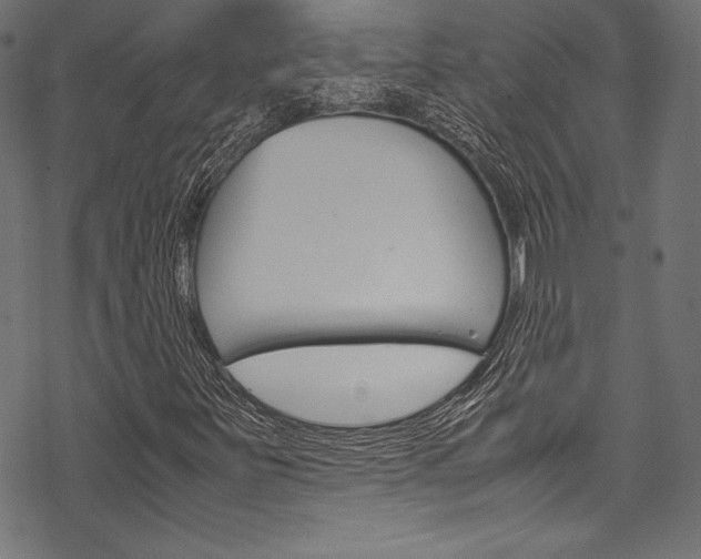 X0000070191251200605260956