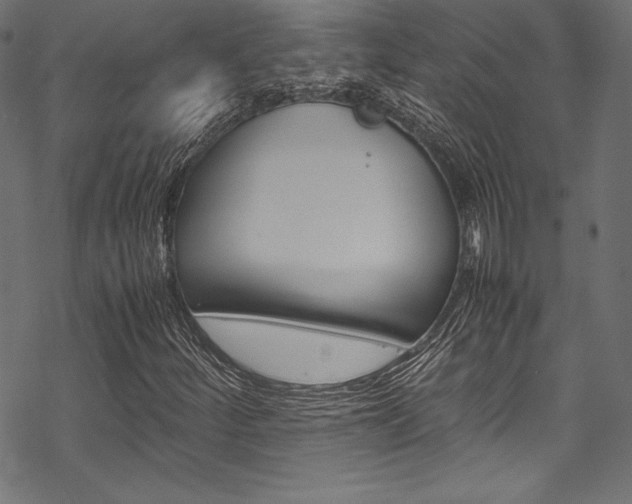 X0000070191252200605260956