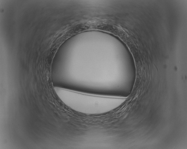 X0000070191253200605260956