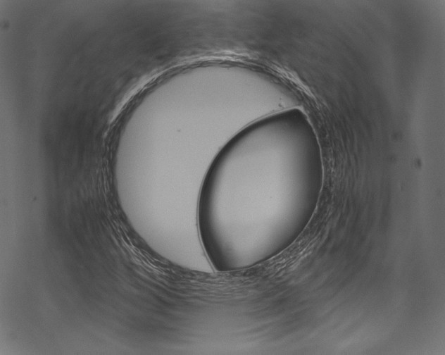 X0000070191256200605260956