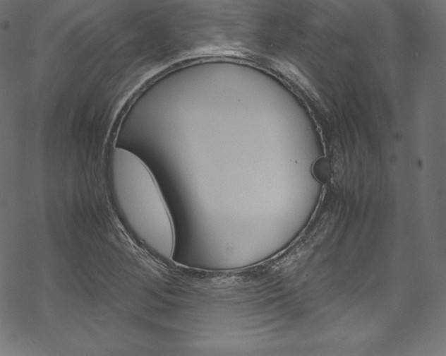 X0000070191268200605260956