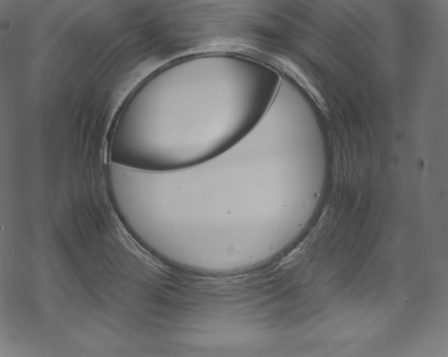 X0000070191276200605260956