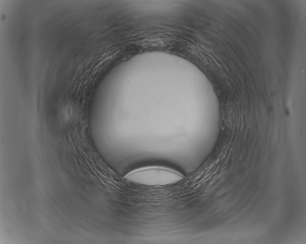 X0000070191297200605260954
