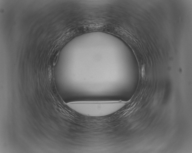 X0000070191299200605260954