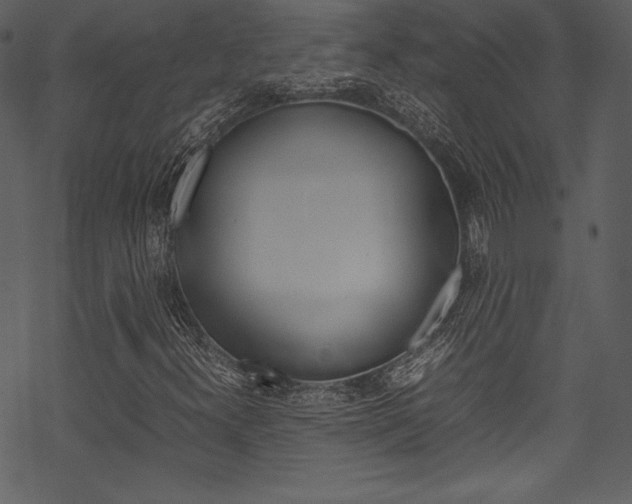 X0000070191300200605260954