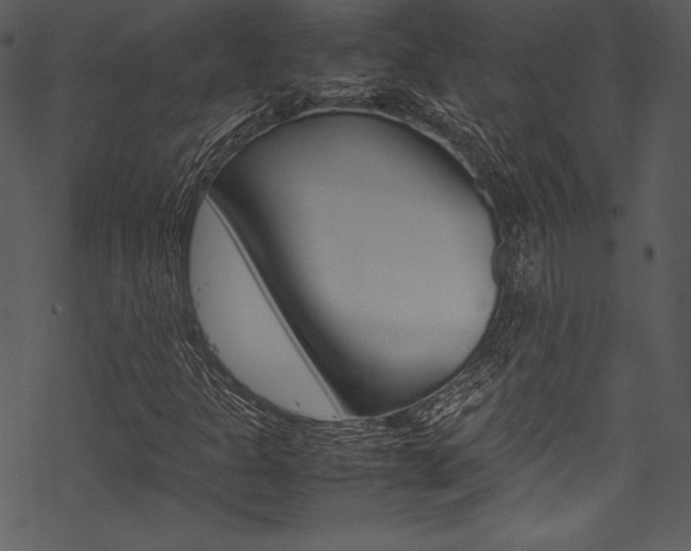 X0000070191301200605260954
