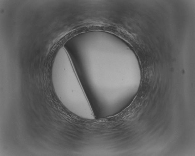 X0000070191303200605260955