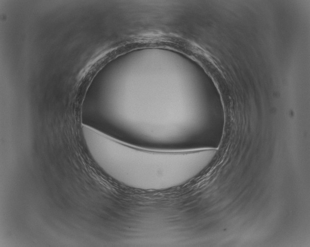 X0000070191304200605260955