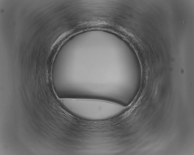 X0000070191306200605260955