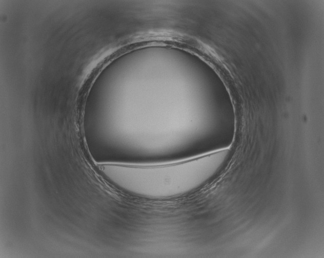 X0000070191312200605260955