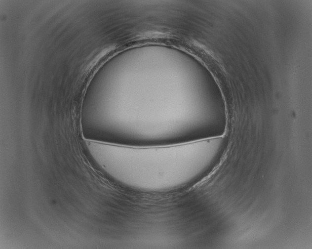 X0000070191313200605260955