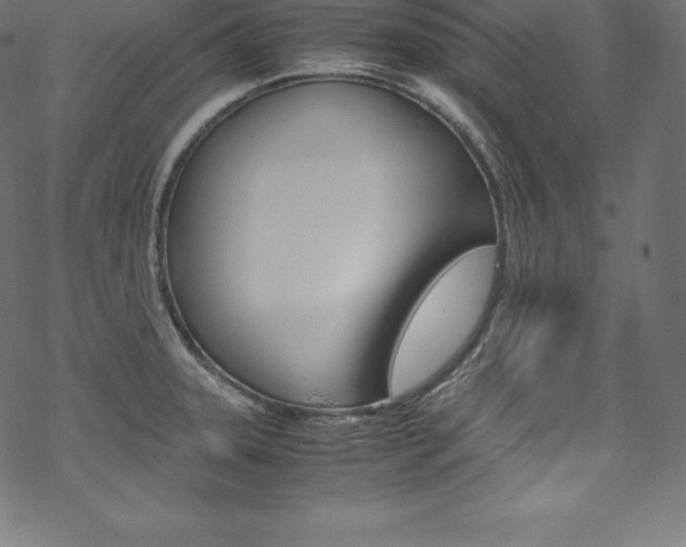 X0000070191331200605260955