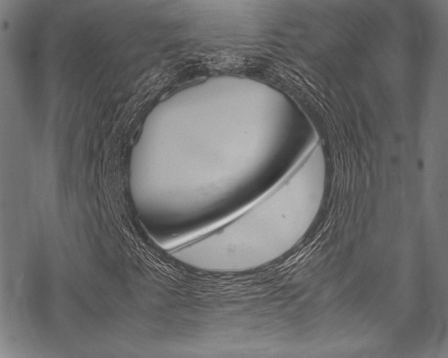 X0000070191345200605260954
