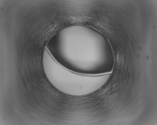 X0000070191348200605260954