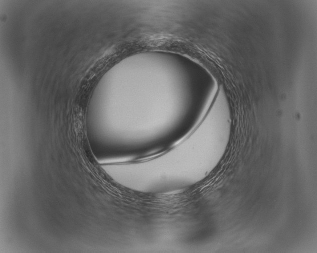 X0000070191349200605260954