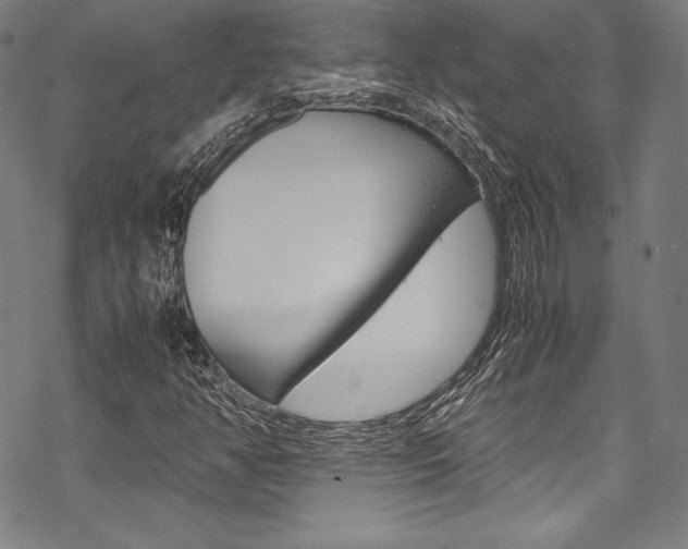 X0000070191350200605260954