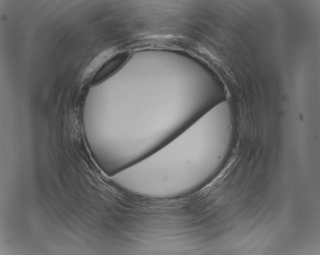 X0000070191354200605260954
