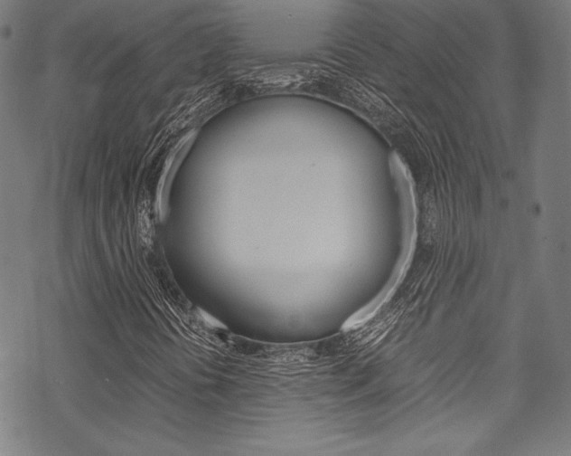 X0000070191394200605260953