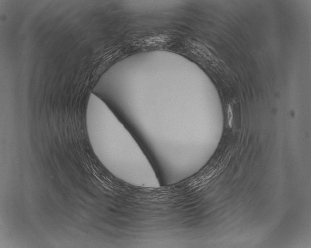 X0000070191395200605260953