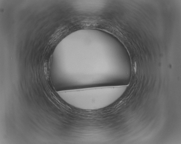 X0000070191396200605260953