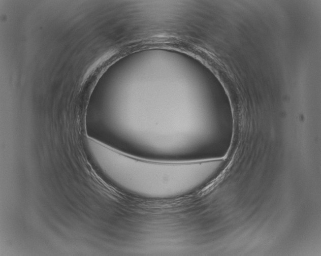 X0000070191402200605260953