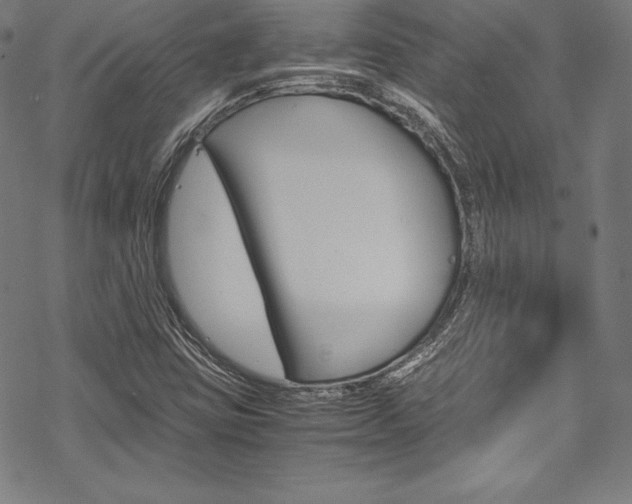 X0000070191403200605260953