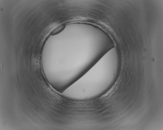 X0000070191409200605260953