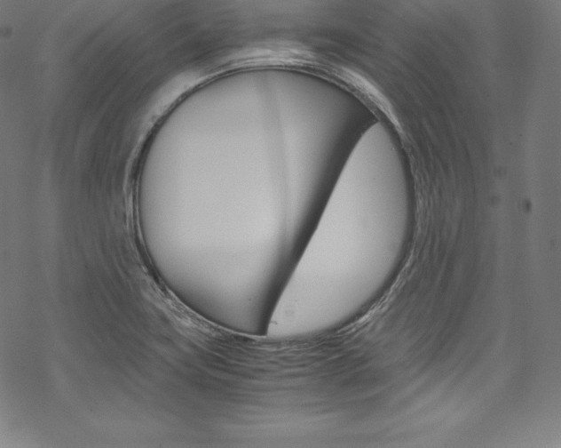 X0000070191419200605260953