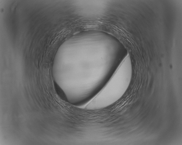 X0000070191441200605260953