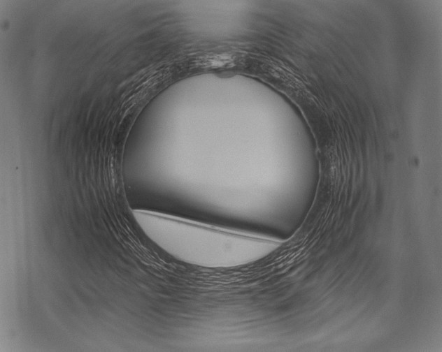 X0000070191442200605260953
