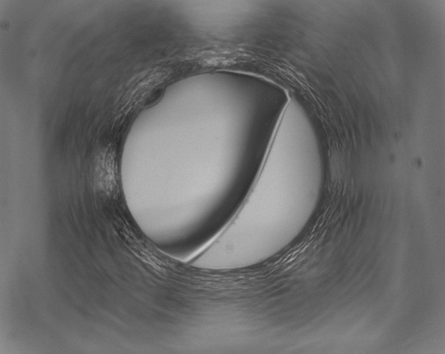 X0000070191444200605260953