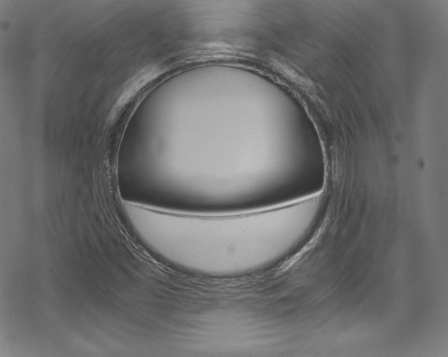 X0000070191453200605260953
