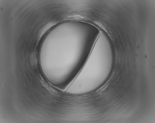 X0000070191458200605260953